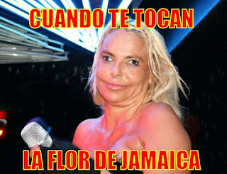 Cuando me tocan la flor de Jamaica. 'Lúpulo de malta' Cuando me tocan la flor de Jamaica. 'Lúpulo de malta'