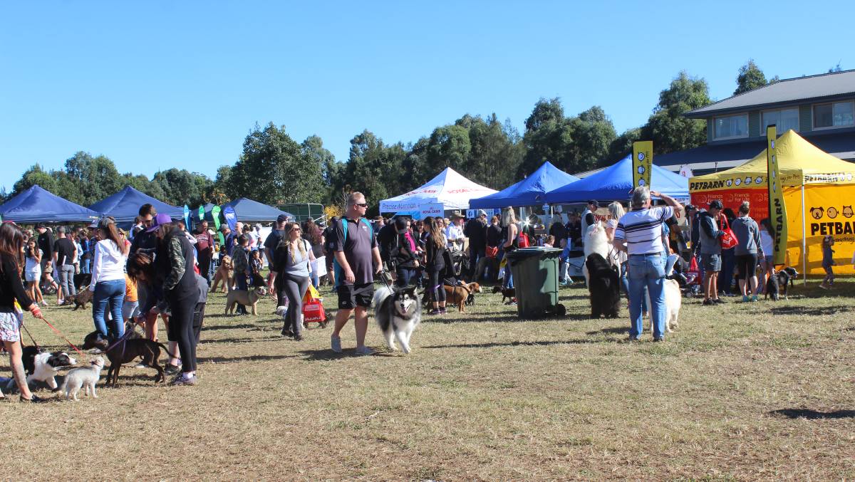 Paws in the Park Camden 2018 May 6 Australian Dog Lover