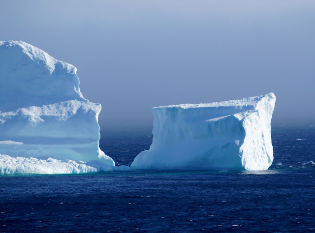 Iceberg near Ferryland