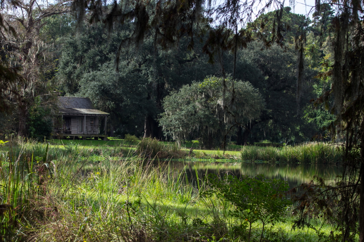 On The Road Full Time Rving Mulberry Plantation