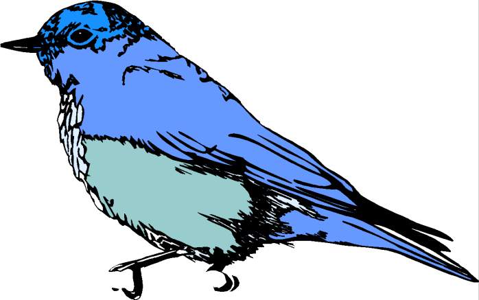 Burung Clipart 38 Photos On This Page Download