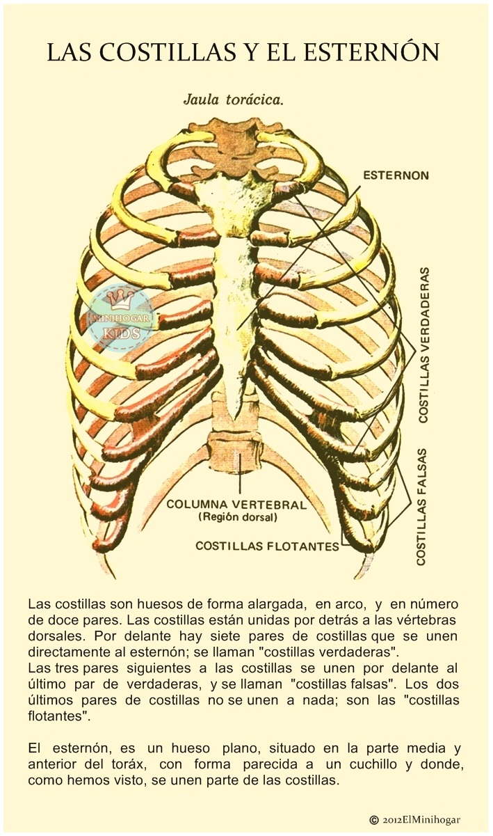 Minihogar Kids Minihogar Kids