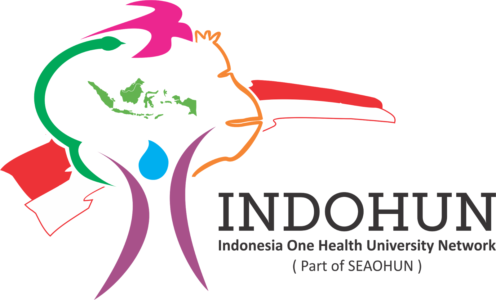 Indonesia One Health University Network Job Vacancy Field Researcher