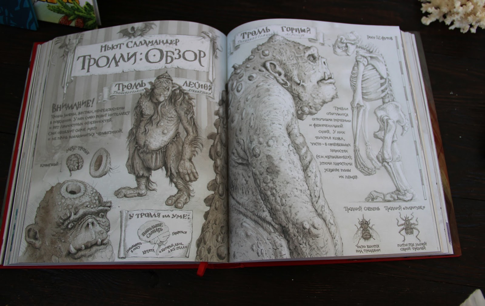 лабиринт лучшие иллюстрированные книги. медвежонок паддингтон и его невероятные приключения. цветная книга эмоций. книга про чаклунів видавництво веселка. книга с цветными иллюстрациями 6 букв.