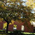 View 355 Online MBAs