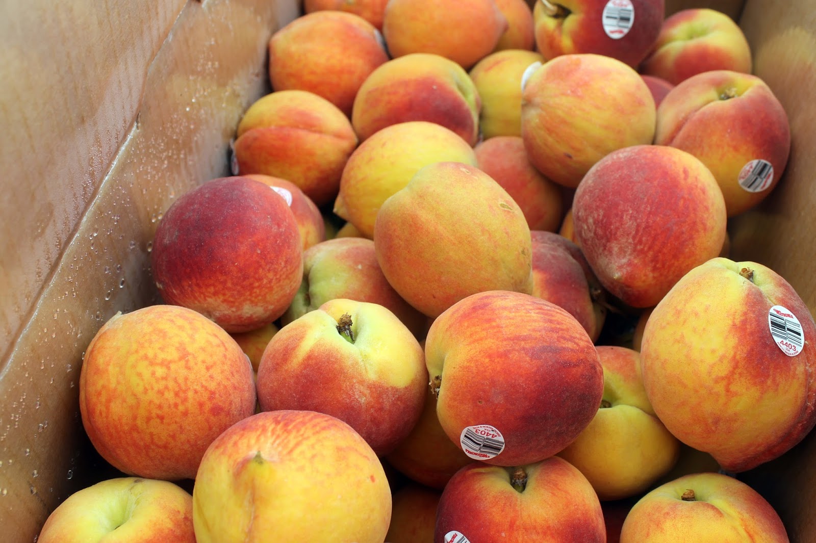 Cooking With Mary and Friends Watsonia Farms Organic Peaches and More!