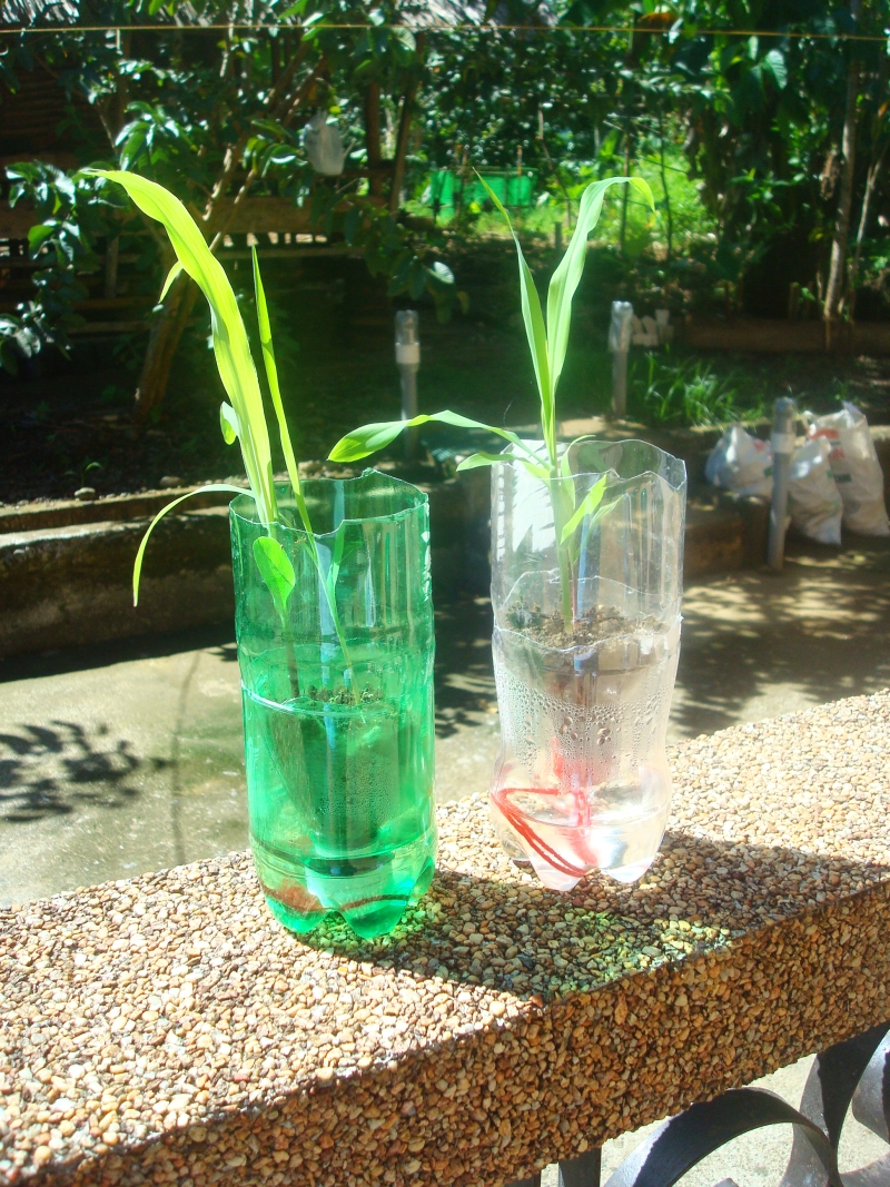 Latitude Adjustment DIY SelfWatering Seed Starter Pots