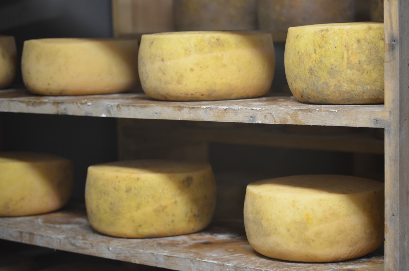 Milk Trekker Cheese Defects