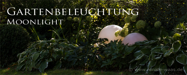 Gartenblog zu Gartenplanung, Gartenberatung, Gartendesign und