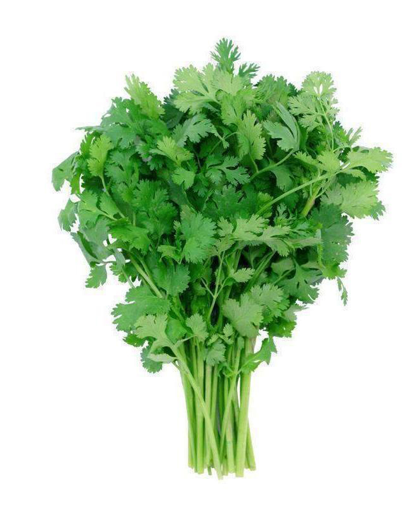 Cilantro 30 Anti-Aging Foods for Women That'll Keep You Feeling Young