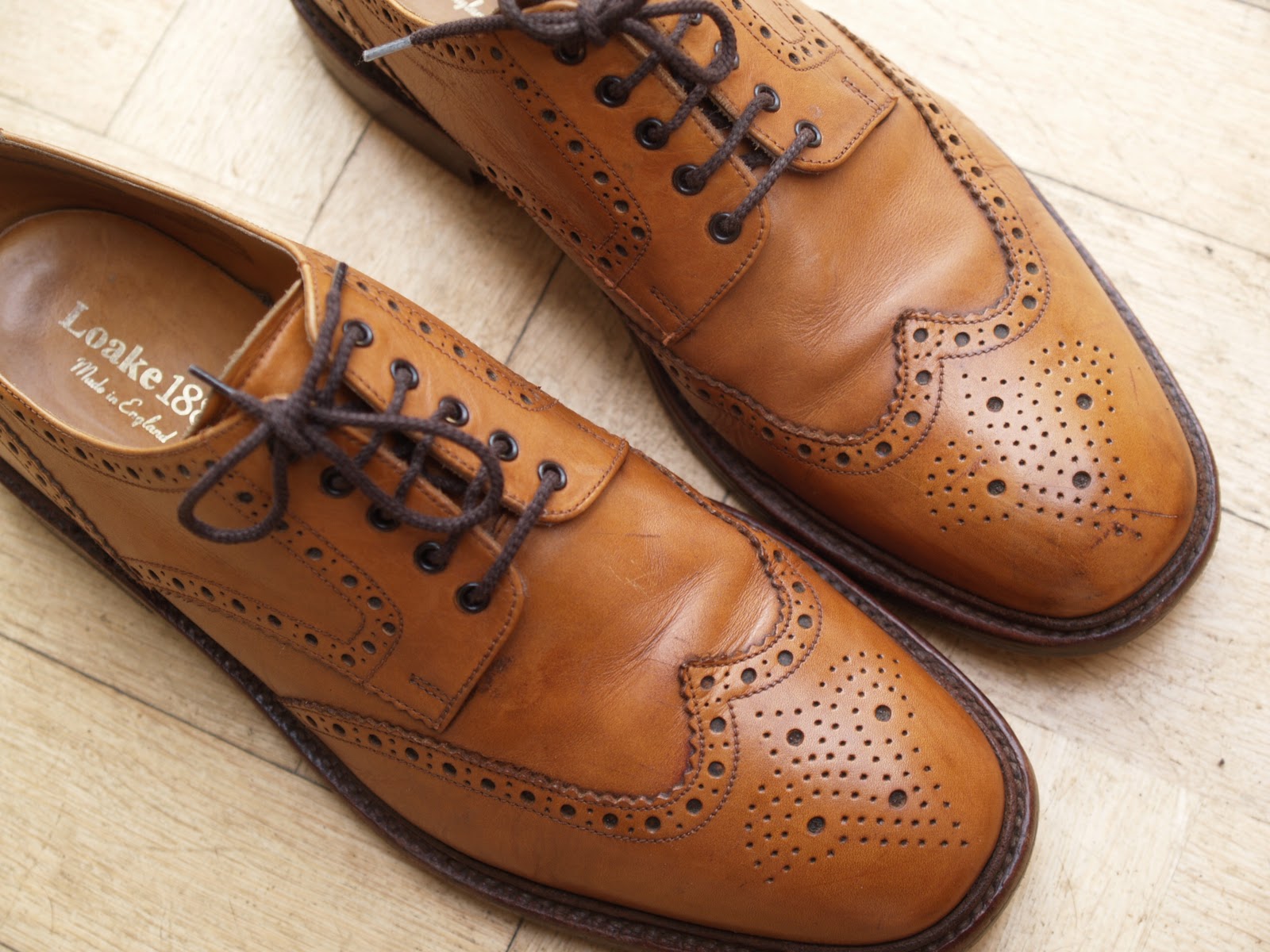 chester brogues