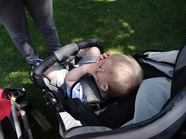 nationaldagen+(11) - Bilder från en Nationaldag