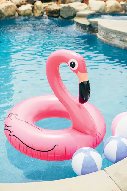 festa flamingo