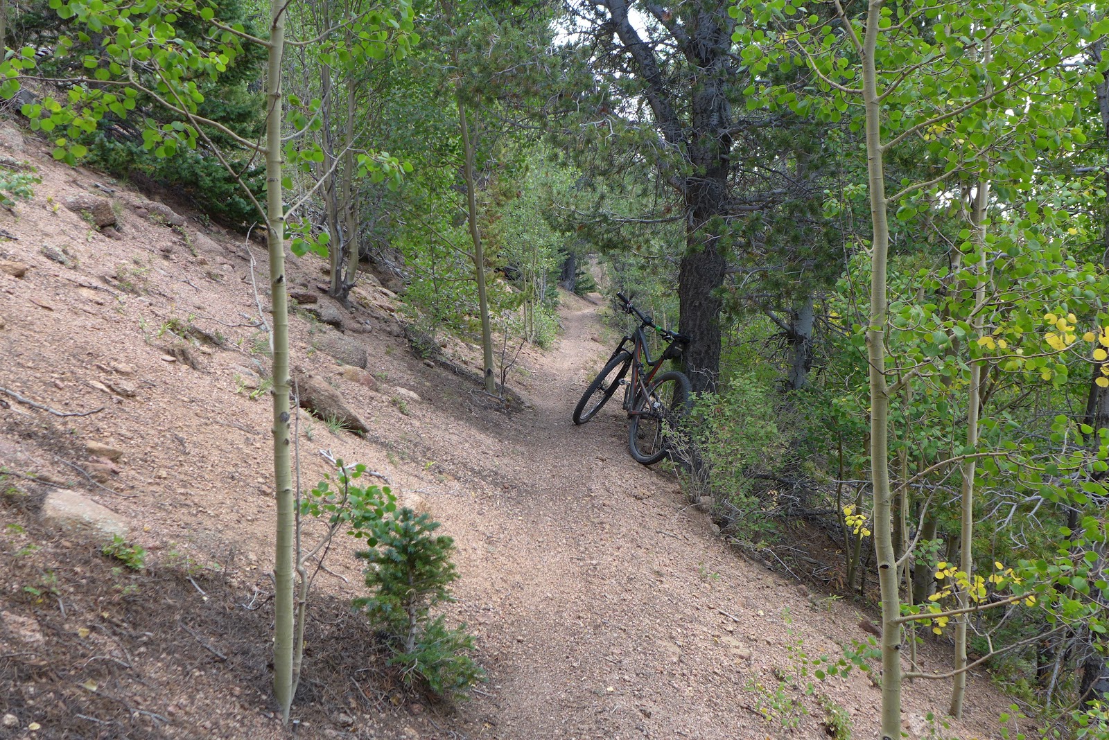 Hill Junkie CO Day 2 Pikes Peak, Elk Park, Heizer Loop