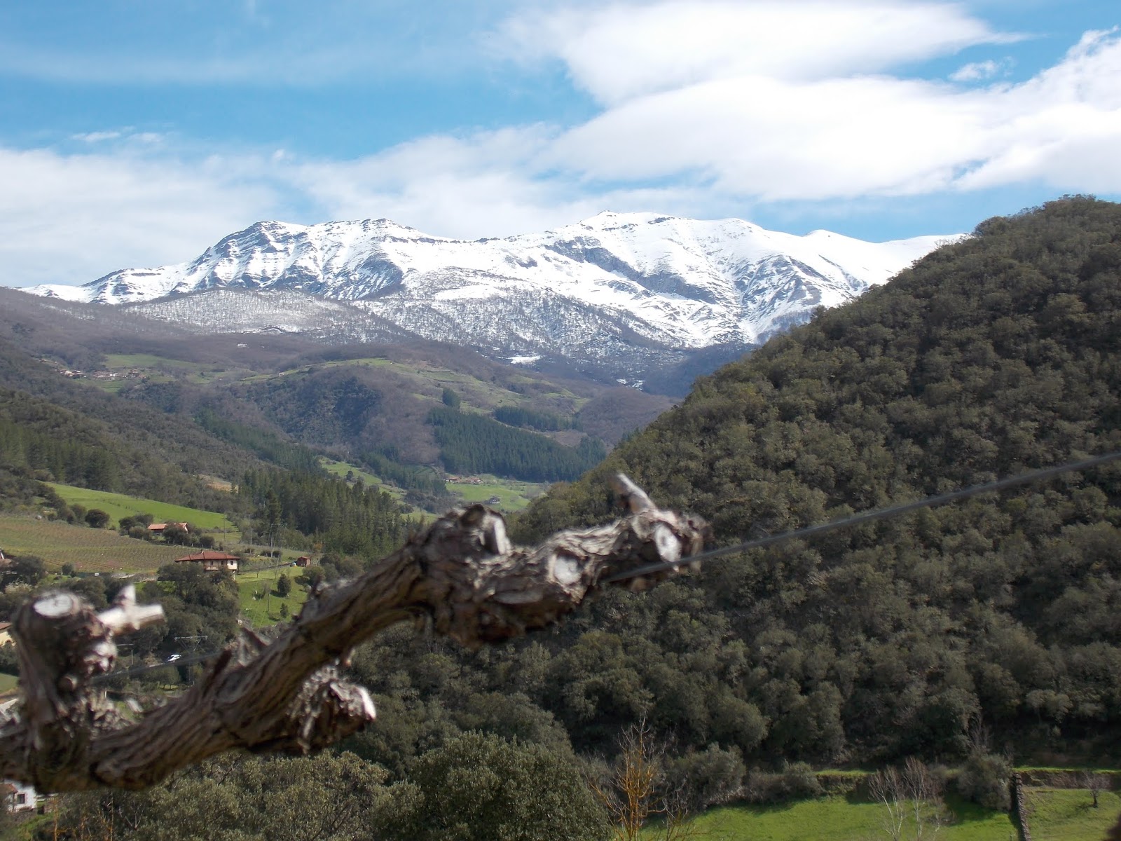 Los Vinos Pausados > Visita a Bodega Picos de Cabariezo