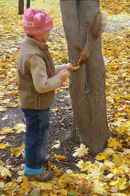 кормим белочек