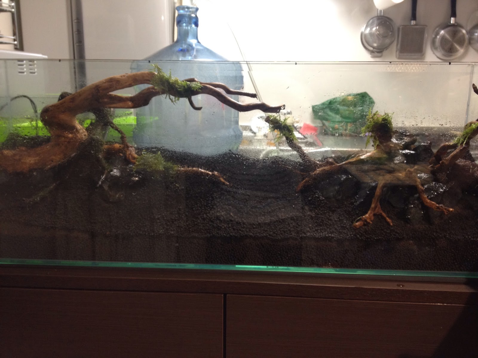 きっかけはビール 13