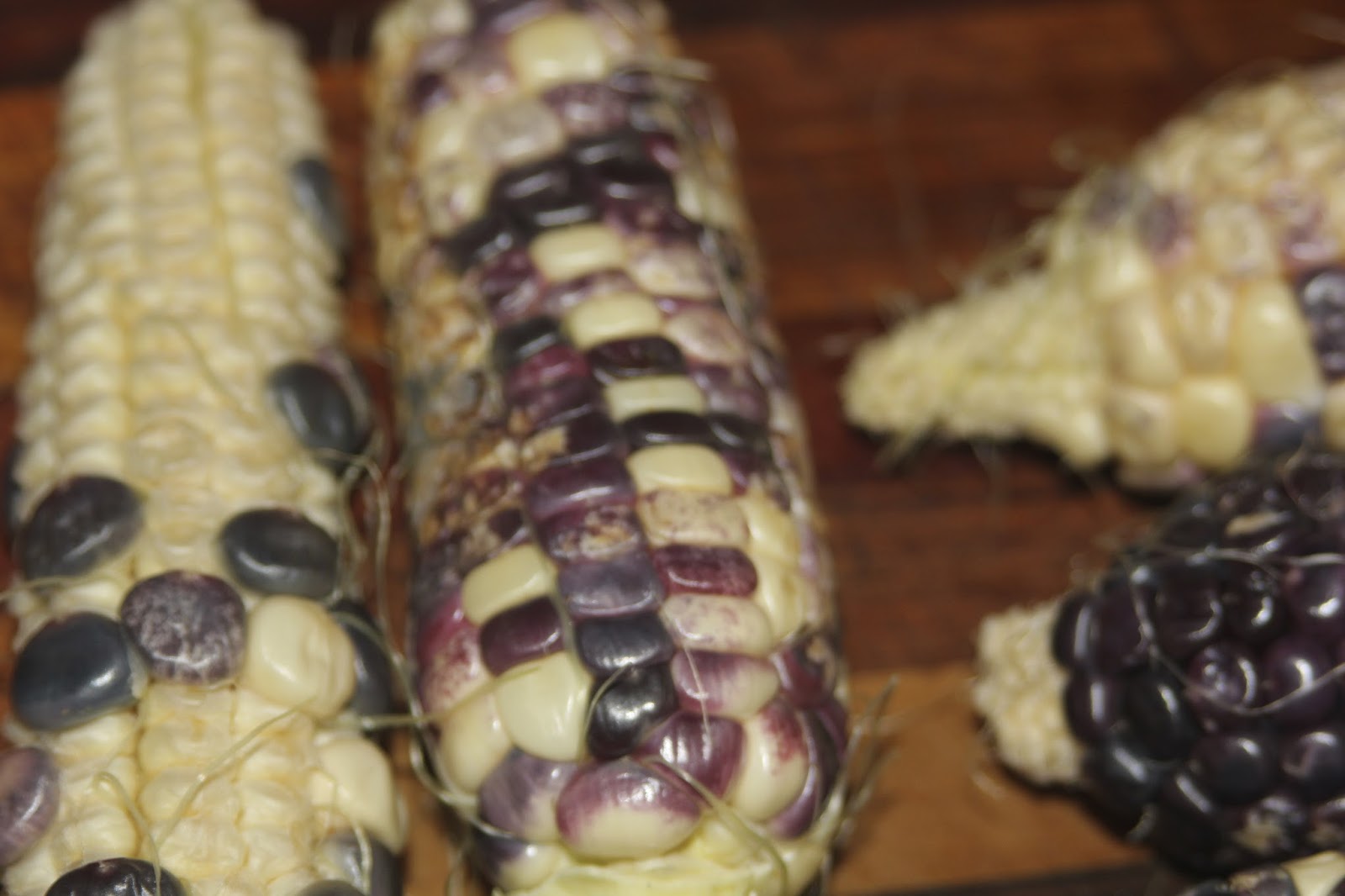 Mudflower Purple sweet corn seeds in Australia