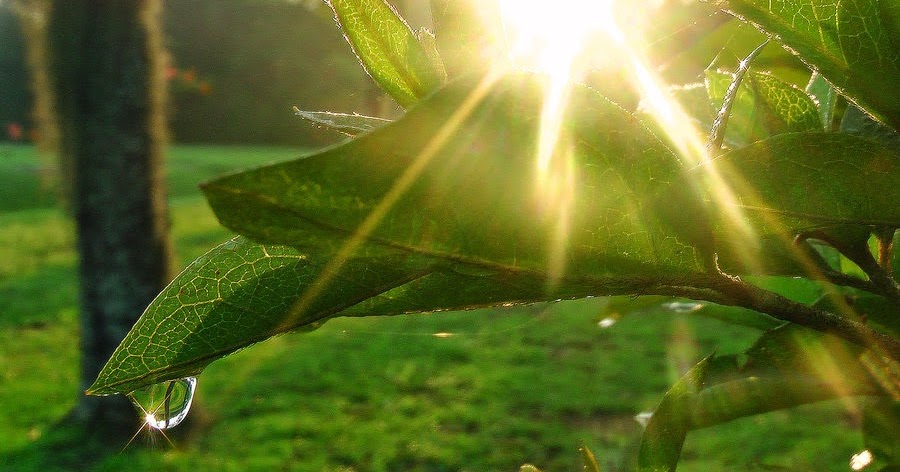 Doa Pagi Puji Syukur no. 48 Doa Katolik