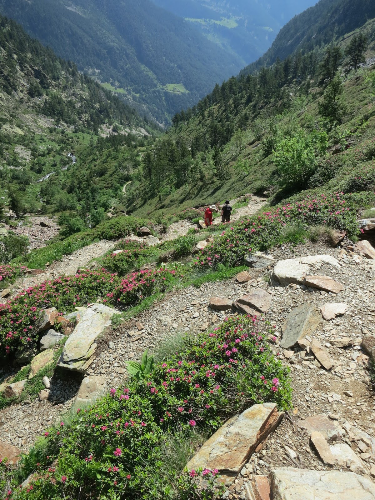 Itchy Feet Adventures Andorra Comapedrosa Hiking Trail