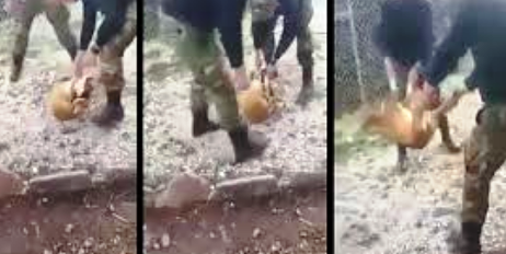 Γιάννενα: Η Φιλοζωική Κόνιτσας Αναλαμβάνει Δράση Για Το Σκυλάκι Που Κακοποιήθηκε Βάναυσα...