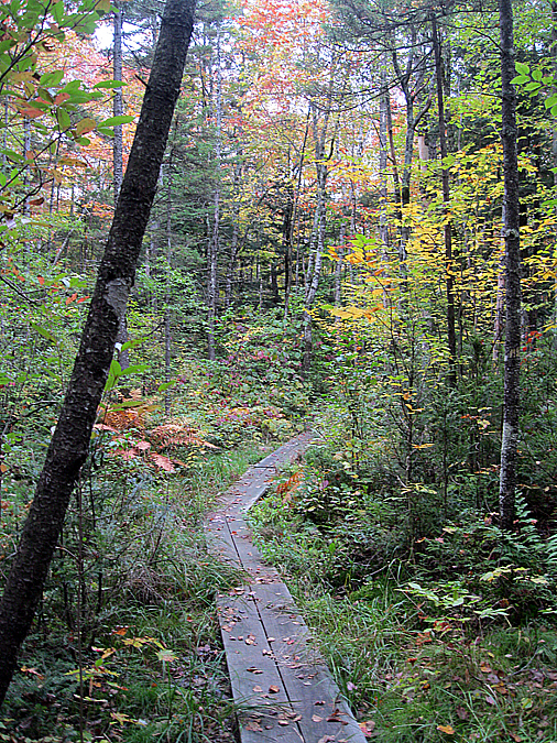 Hiking in the White Mountains Sandwich Dome
