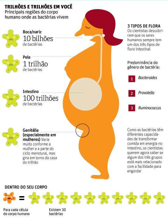 Somos Pasto Para Bactérias