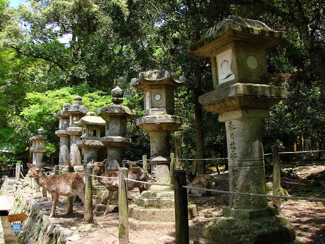 Nara - Japón