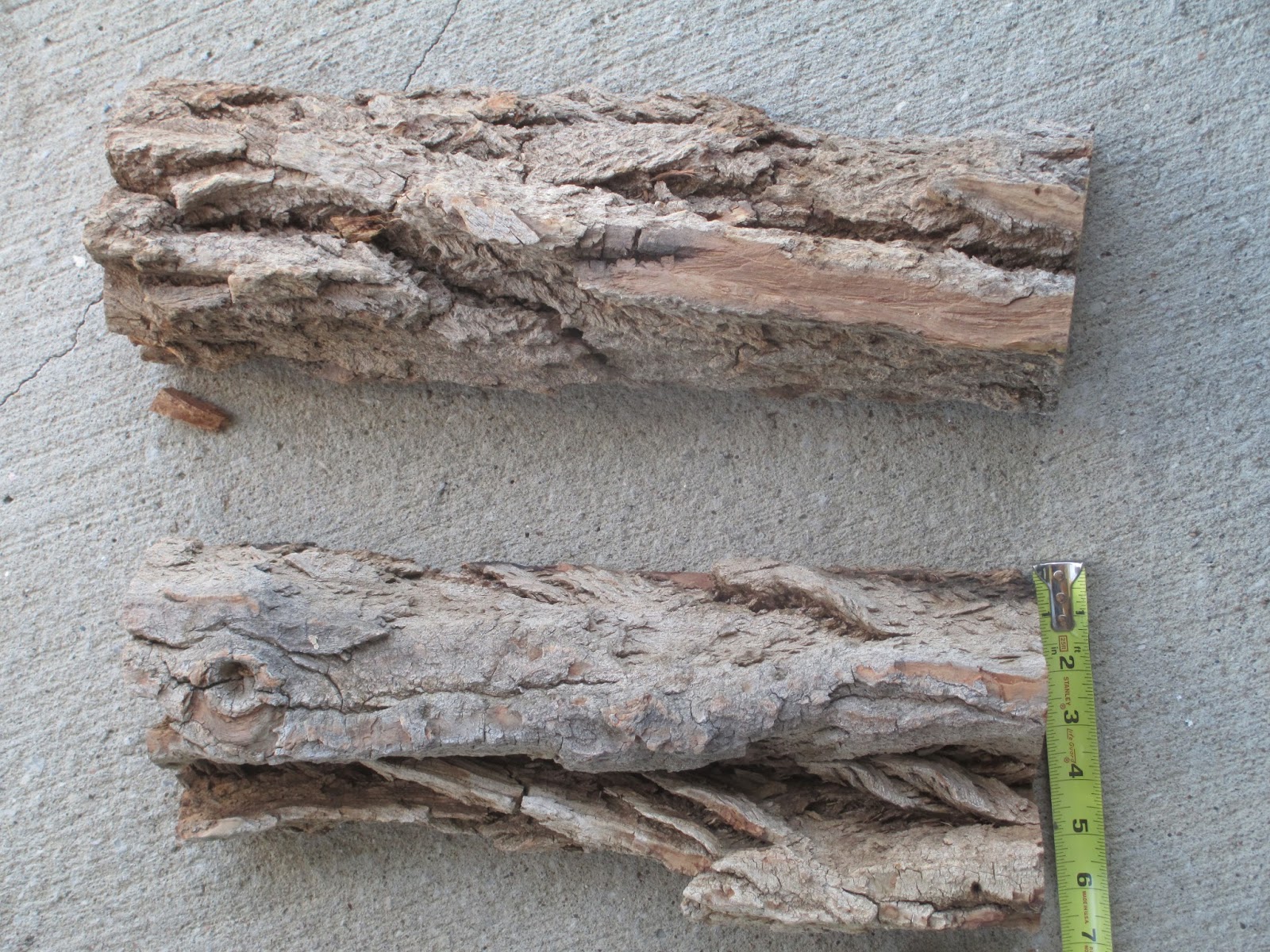 Knotty Wood Spirits Large Cottonwood Bark