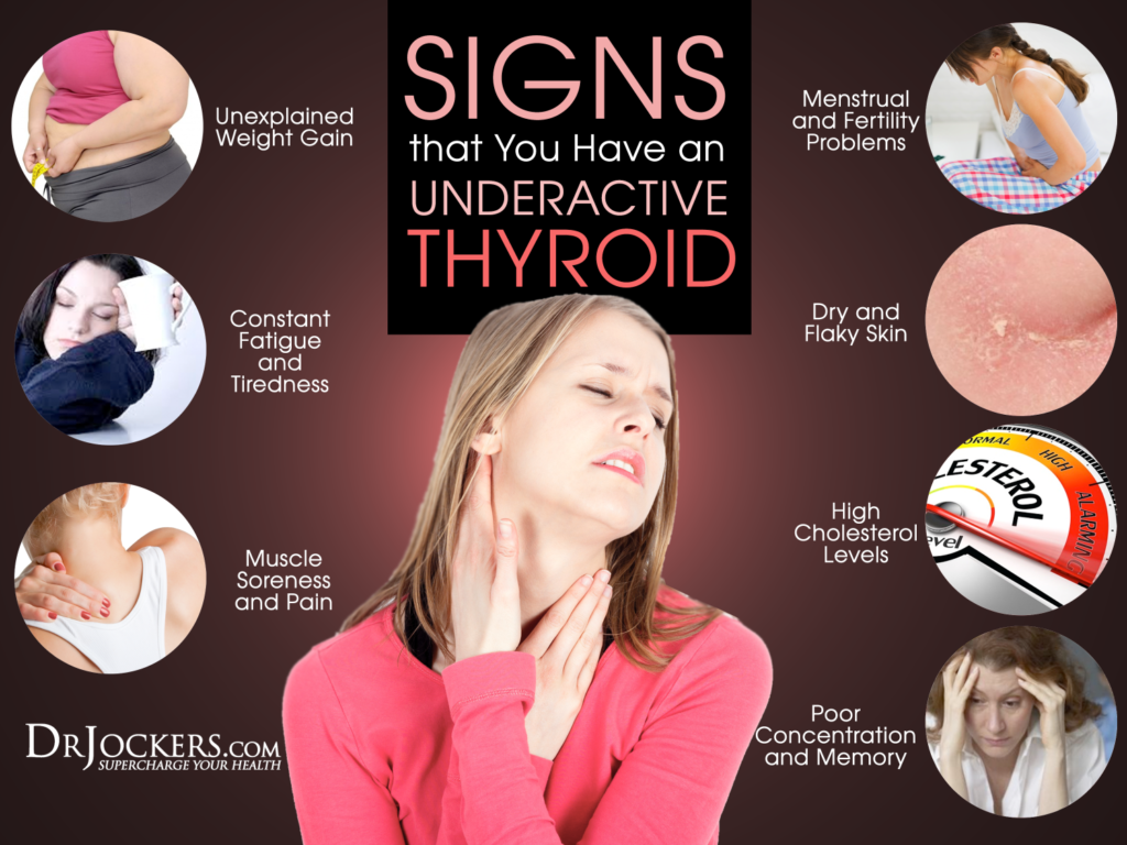 Underactive Thyroid Signs And Symptoms Hypothyroidism Living