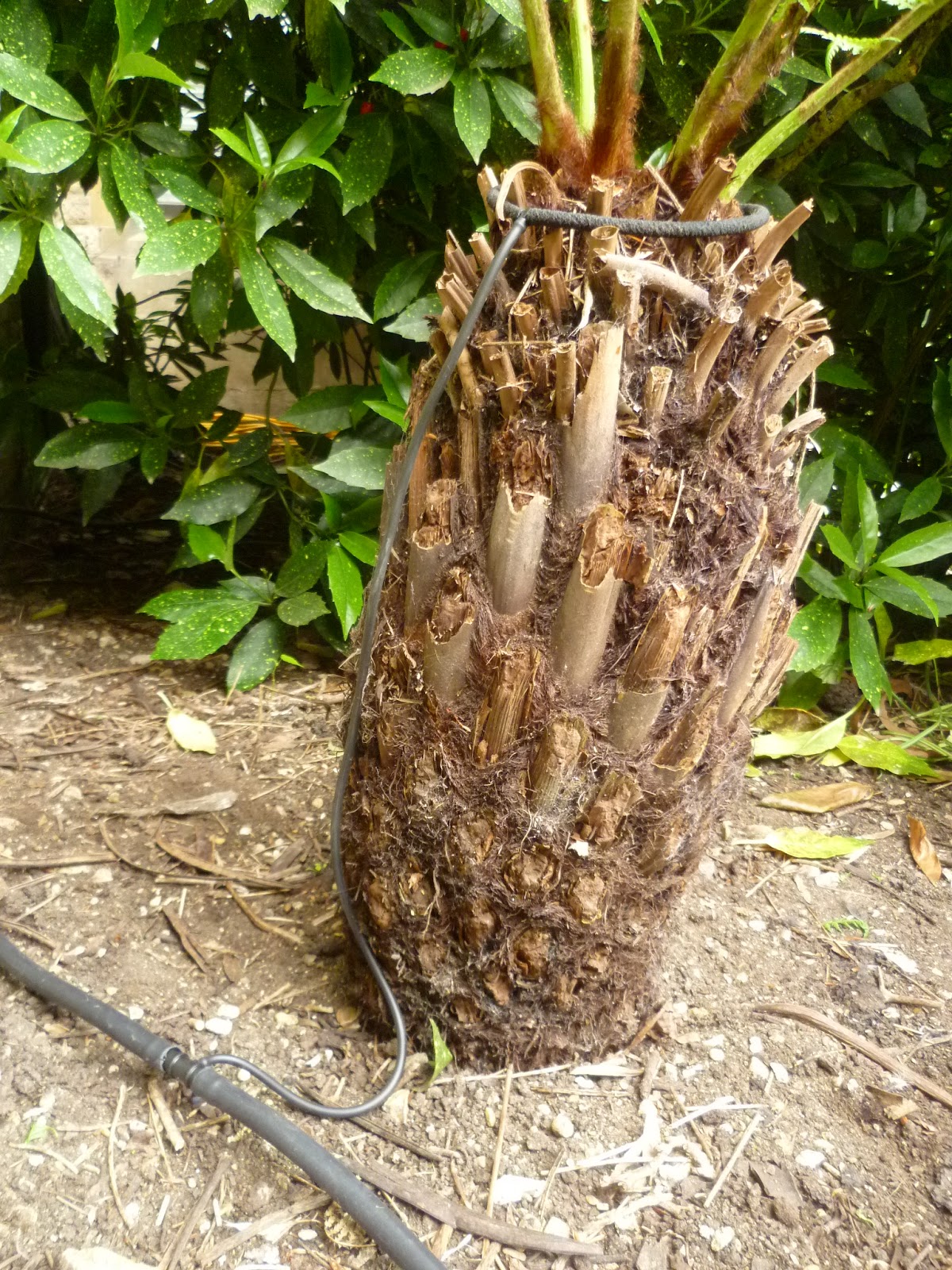 Worcester College Gardeners 20092018 A New Irrigation System For The