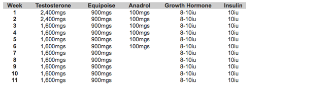 Steroid Cycle Chart