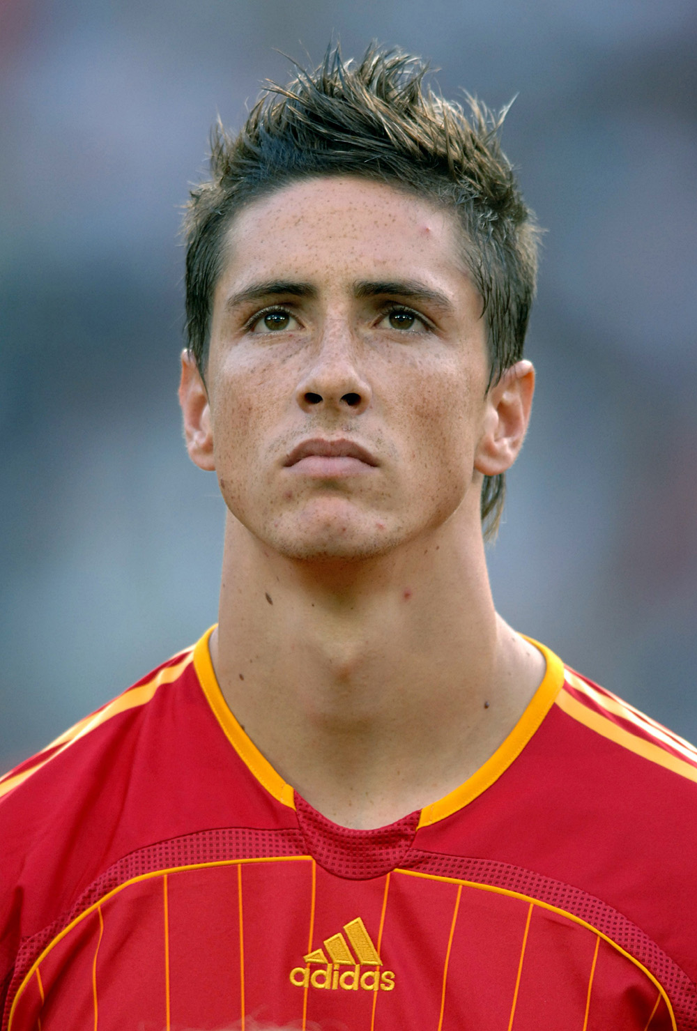 Fernando Torres Net Worth