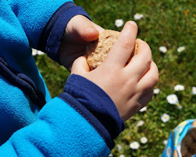 Vom Spielen, Schiffe gucken, Picknicken und Fähre fahren am Nord-Ostsee-Kanal. Picknick Bio Produkte Sesamstrasse: Leckere gesunde Snacks für Kinder Erwachsene ohne Zucker kein Zucker Früchte-Riegel Quetschies Tee Kekse Cookies Obst Gemüse Mix