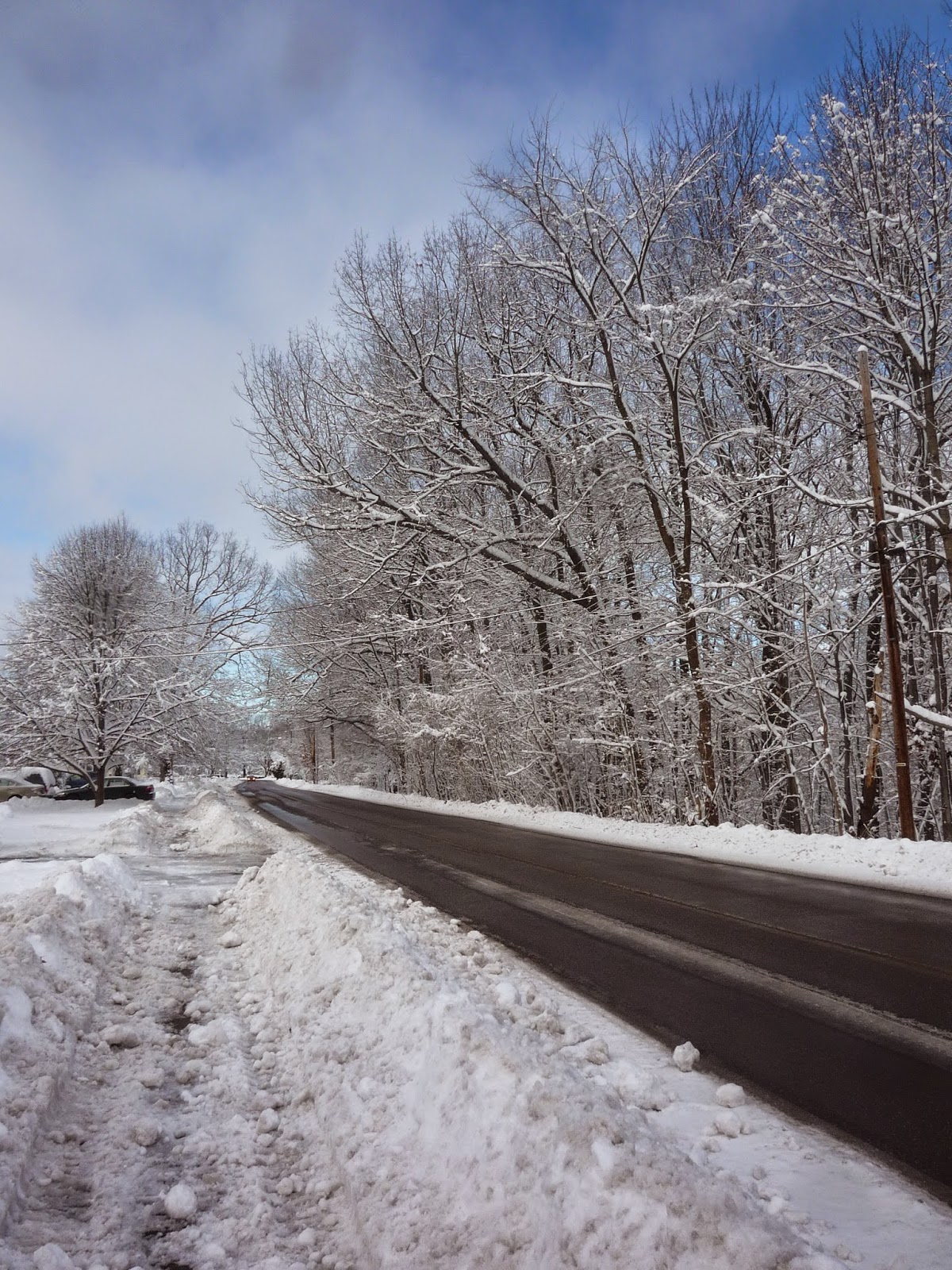 Weather in Vermont Dec 2014 Snowstorm South Burlington, Vermont