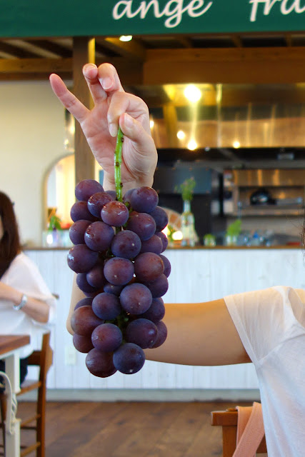Japanese kyoho grape picking tochigi ichigono sato japan