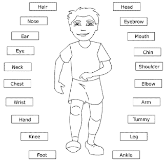 [Writing] Practise English Parts of body - สรุปเนื้อหาภาษาอังกฤษข้อสอบ