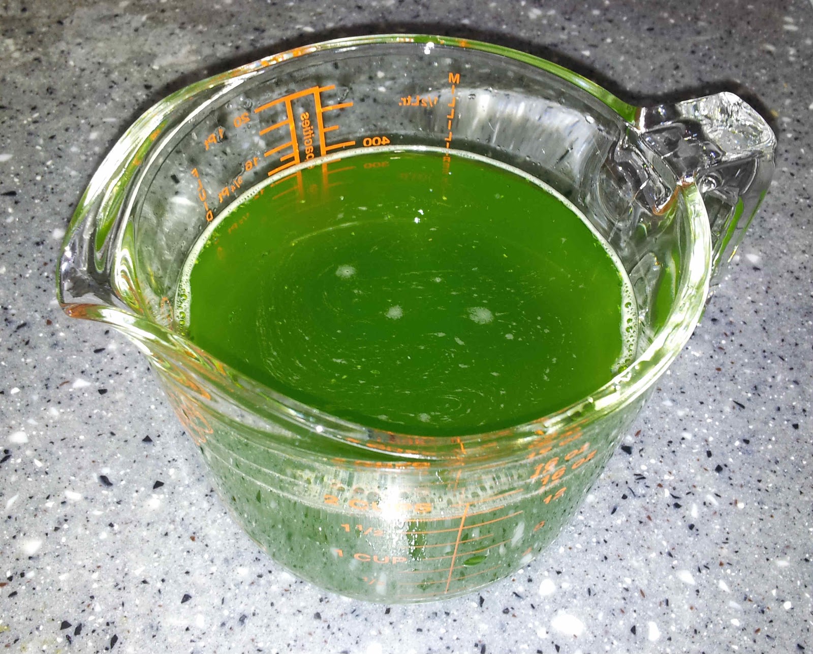 made by shas Pandan agaragar with coconut milk recipe