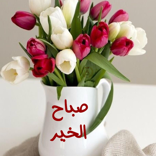 صباح الخير بالانجليزي