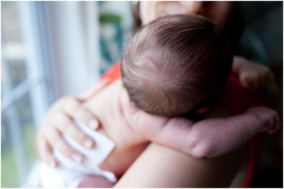 HOLLYHOWEphotography: louis | moncton newborn photographer