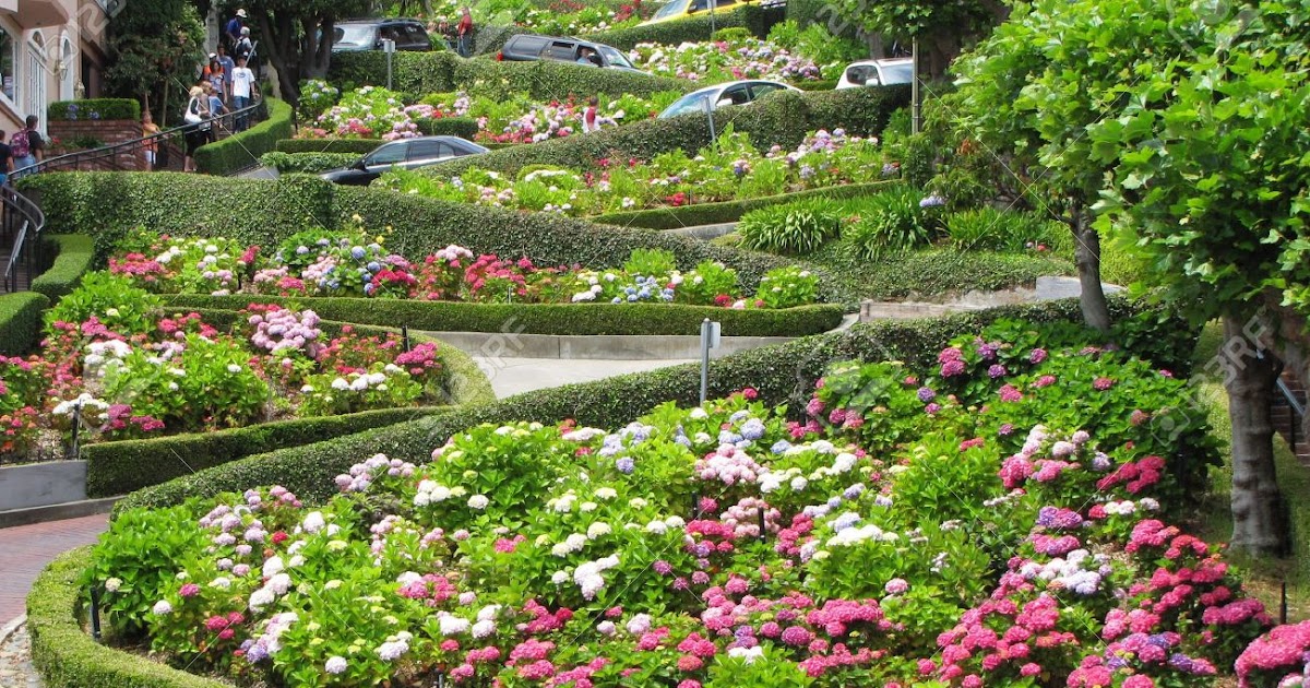 The Amazing World Lombard Street (Most Winding Road), San Francisco, California