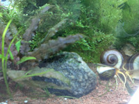 ring peale tehtud peaaegu :)