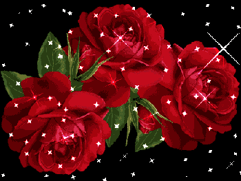 Happy Rose Day GIF Wallpapers Download