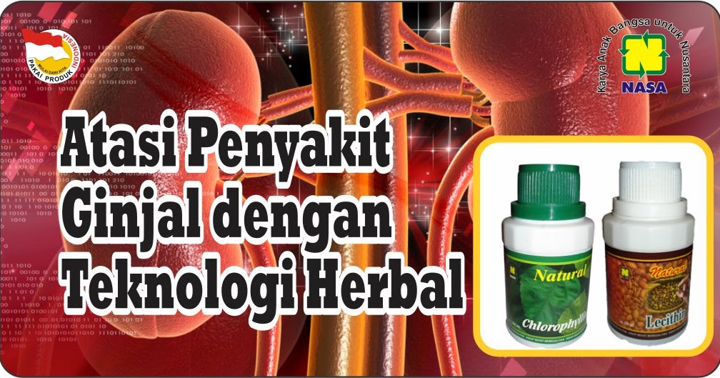 Paket Terapi Gagal Ginjal Nasa | Inti Herbalindo
