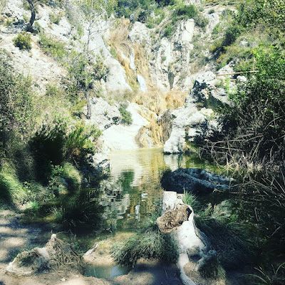 Font de quinzet, Salt de Bonaventura, Alcoi