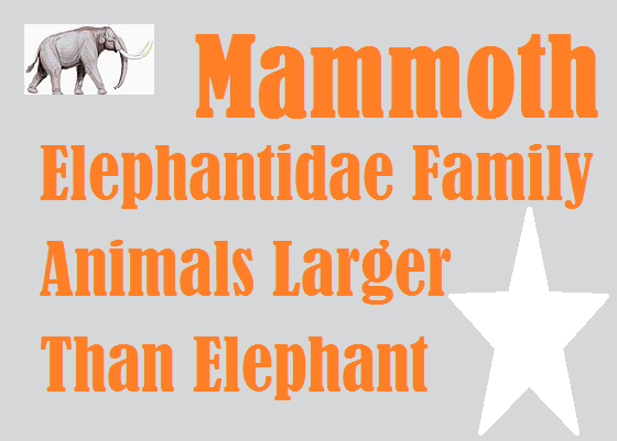 Mammoth, Elephantidae or Long Haired Elephants, how Disappeared from Earth