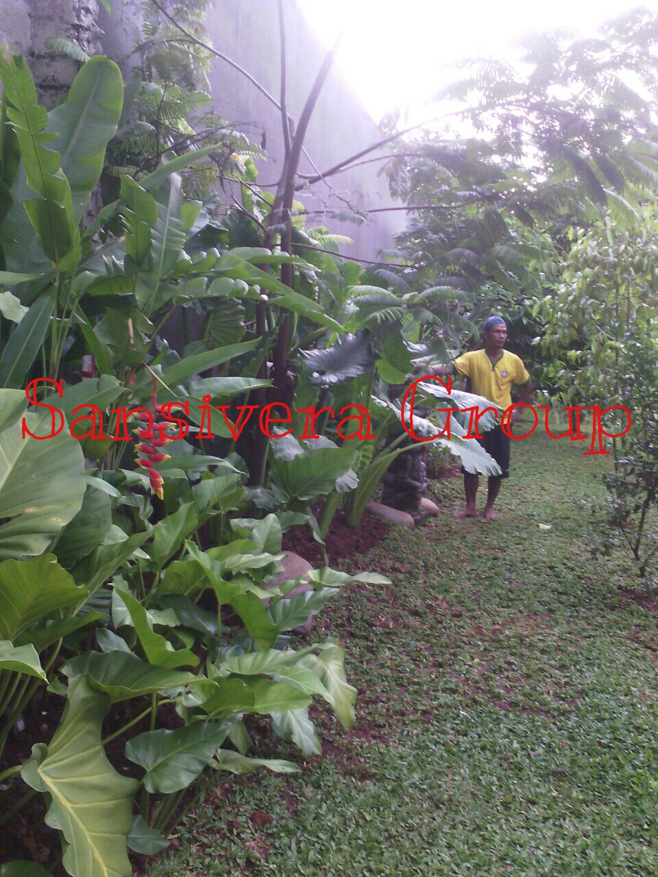 Desain Taman Kolam Tropis | Gaya Model Taman Tropical Bali ...
