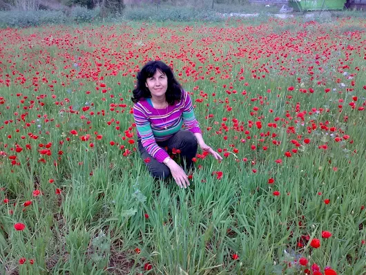 TENGO QUE CAMINAR EL CAMINO DE LA VIDA.Autora.ROSI CERVANTES