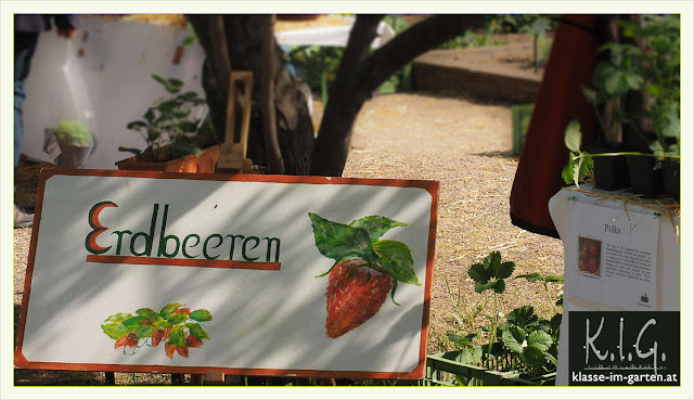 Klasse Im Garten Latest Snapshot Chan 9849358 Rssing Com