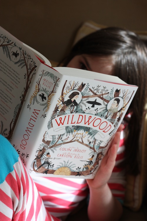 ben and birdy book review Wildwood